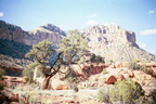 IMG030