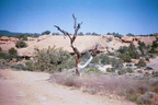 IMG026
